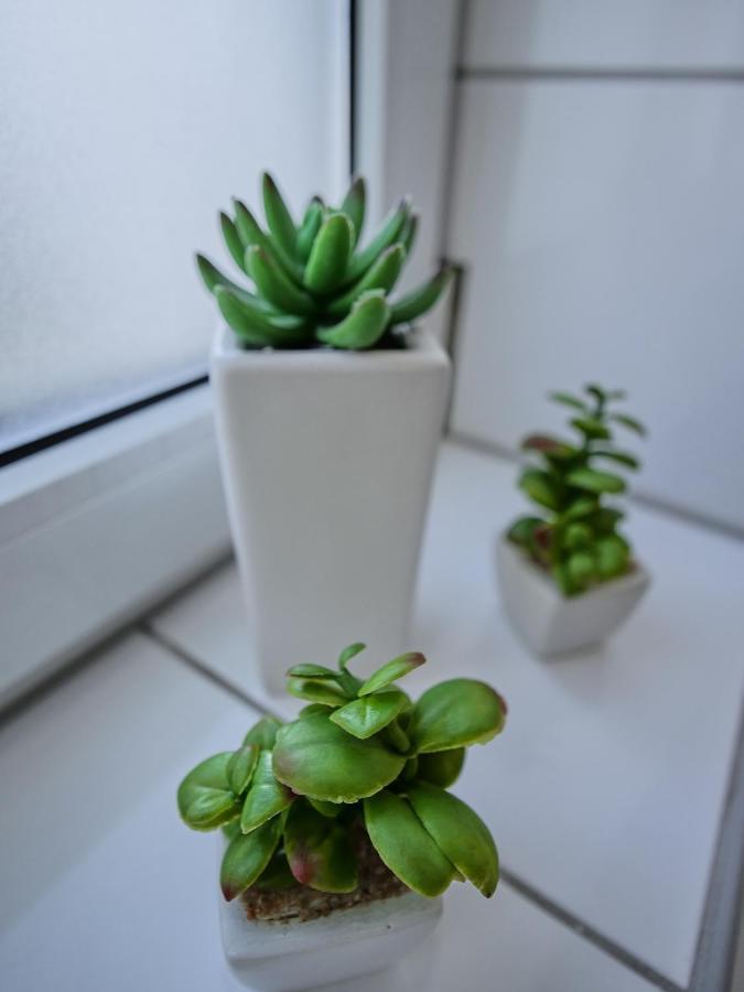 Appartement Hbf - Erfurt Bahnhof 외부 사진
